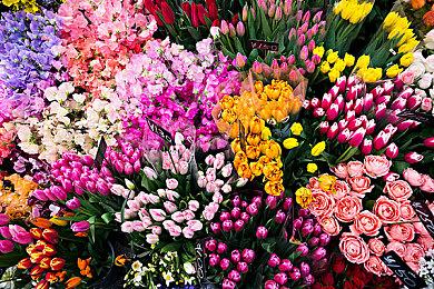 《真女神转生5》恶魔介绍：北欧妖魔女武神